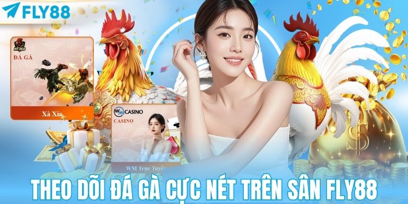 Theo dõi đá gà cực nét trên sân FLY88